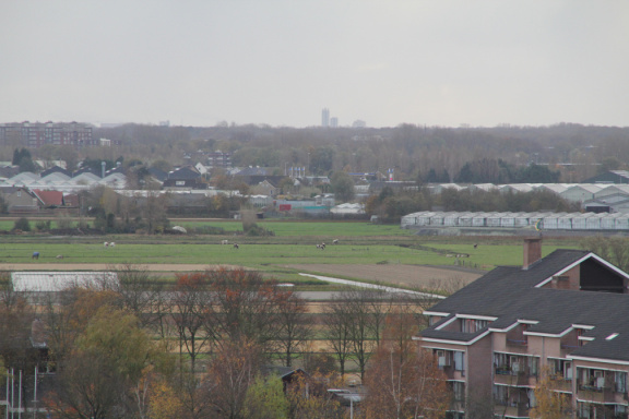 IMG 0792