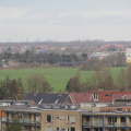 IMG 0794