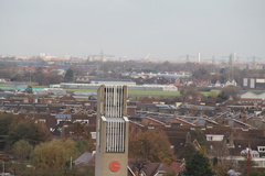IMG 0798