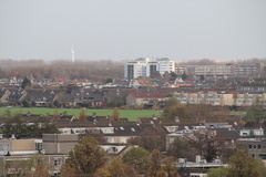 IMG 0801