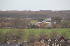 IMG 0823