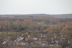 IMG 0824