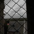 RES-IMG 8658