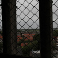 RES-IMG 8660