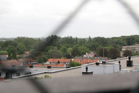 RES-IMG 8665