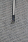 RES-IMG 7953