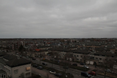 IMG 7917