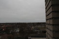 IMG 7924