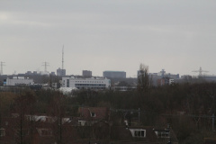 IMG 7925