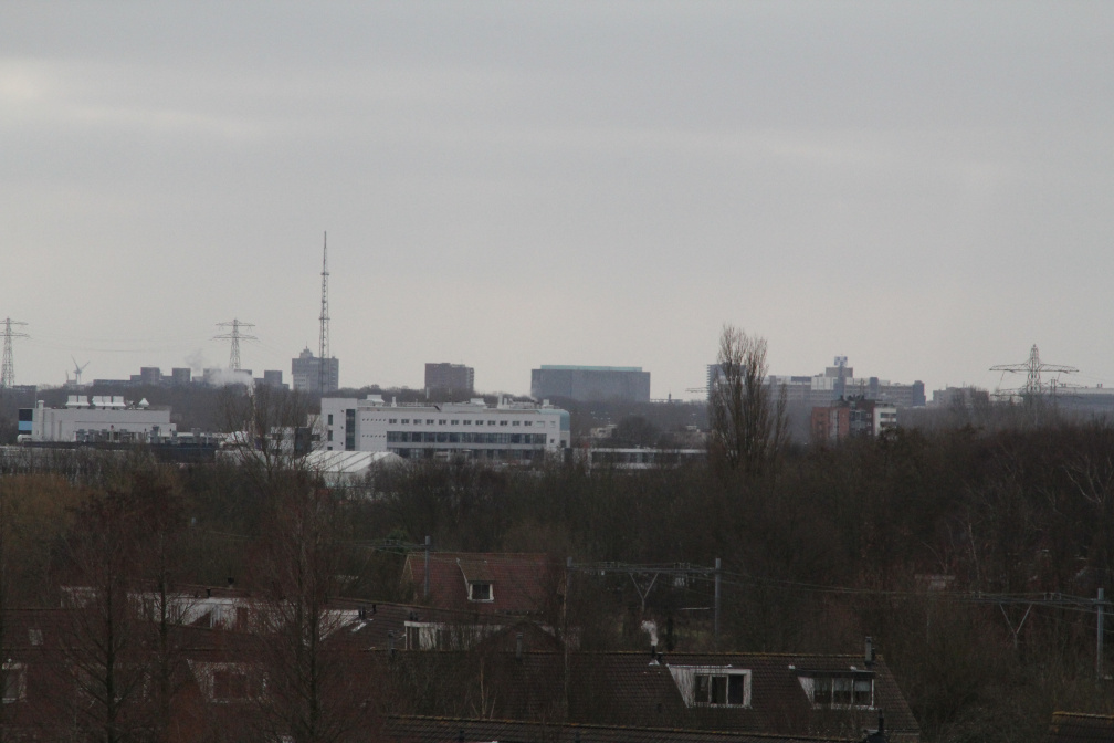 IMG 7925