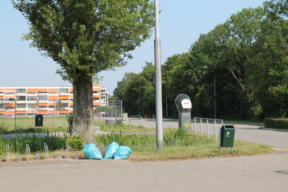 IMG 4574