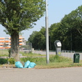 IMG 4574