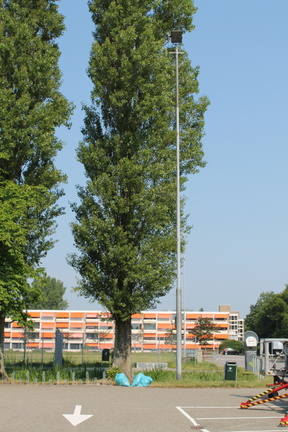IMG 4575