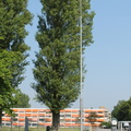 IMG 4575