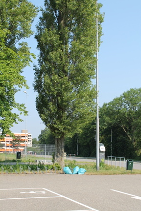 IMG 4576