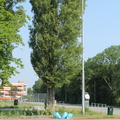 IMG 4576