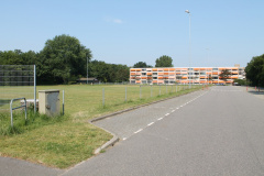 IMG 4580