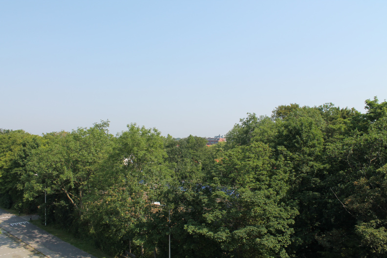 IMG_4585.JPG