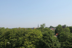 IMG 4590
