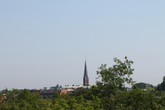 IMG 4591
