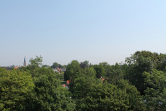 IMG 4592