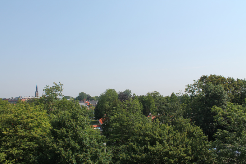 IMG_4592.JPG