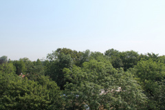 IMG 4593