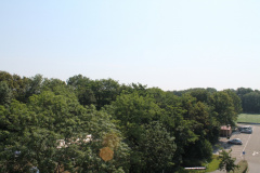 IMG 4594