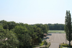IMG 4595