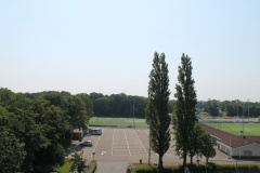 IMG 4596