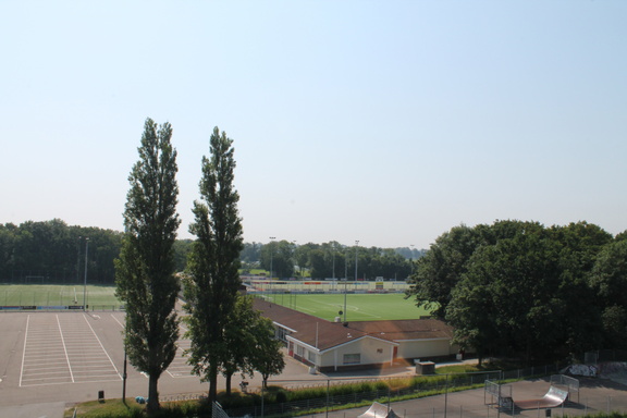 IMG 4597