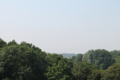 IMG 4599