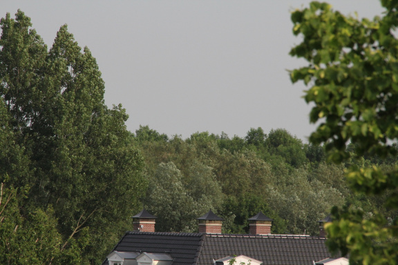 RES-IMG 8813