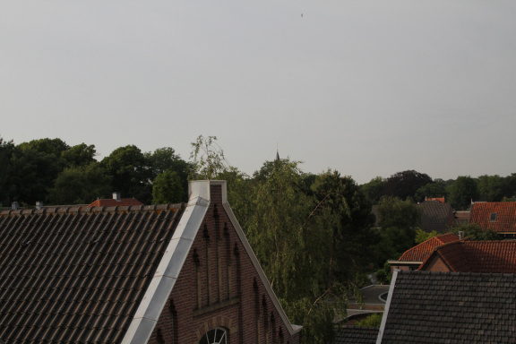 RES-IMG 8827