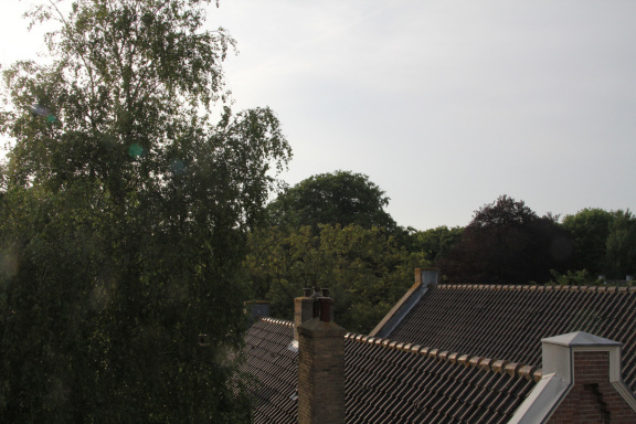RES-IMG 8829