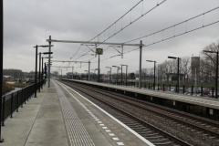RES-IMG 1224
