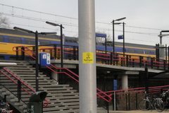 RES-IMG 1235