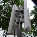 SDC16269