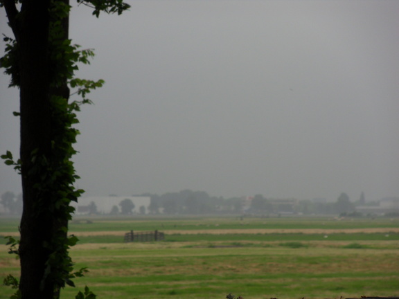 SDC16272