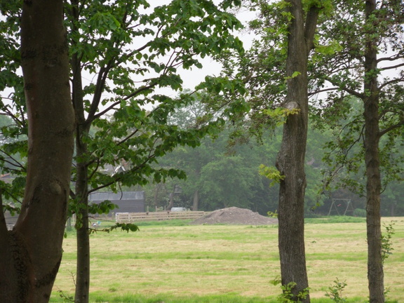 SDC16277