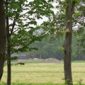 SDC16277