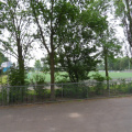 SDC16284