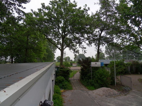 SDC16287
