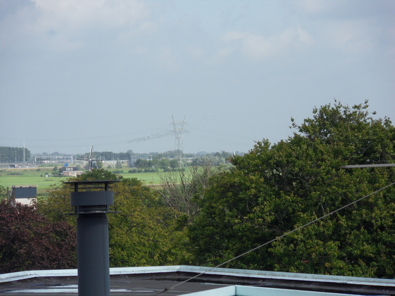 sitesurvey-rijneke-casba-wonen-2012-044