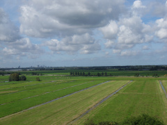 sintjanonthoofdingkerk survey2012 05