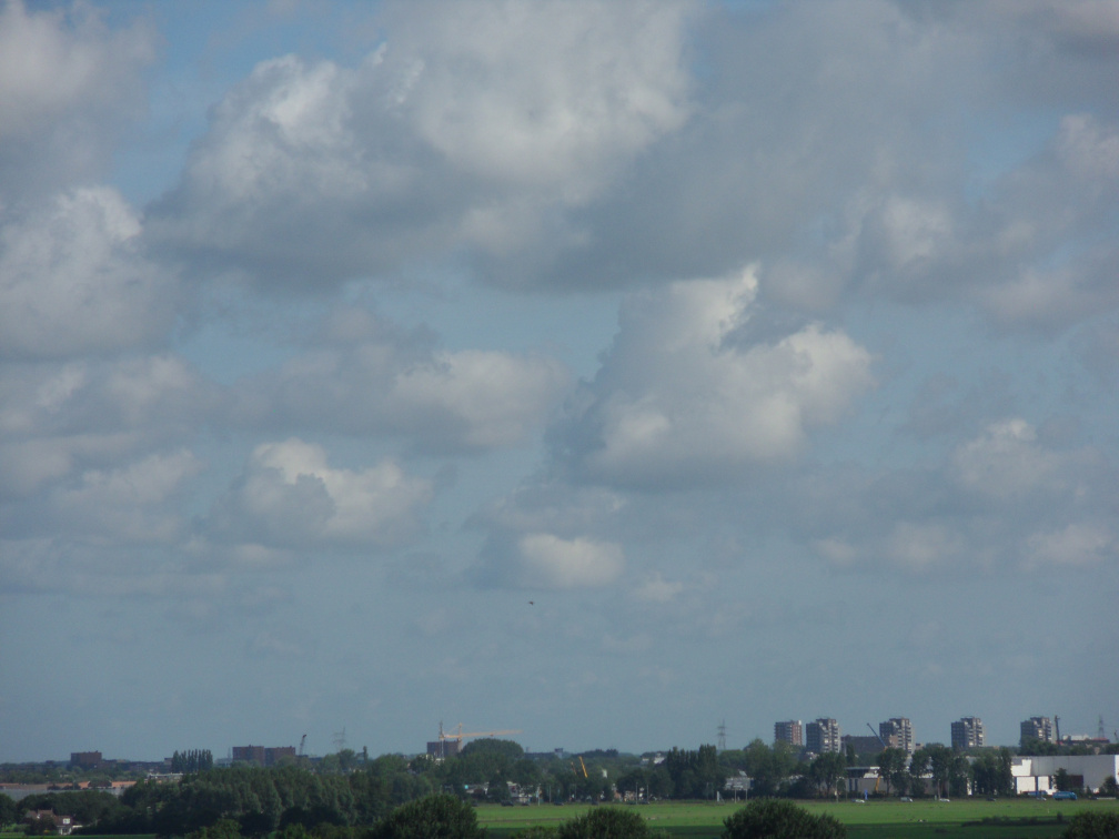 sintjanonthoofdingkerk survey2012 21