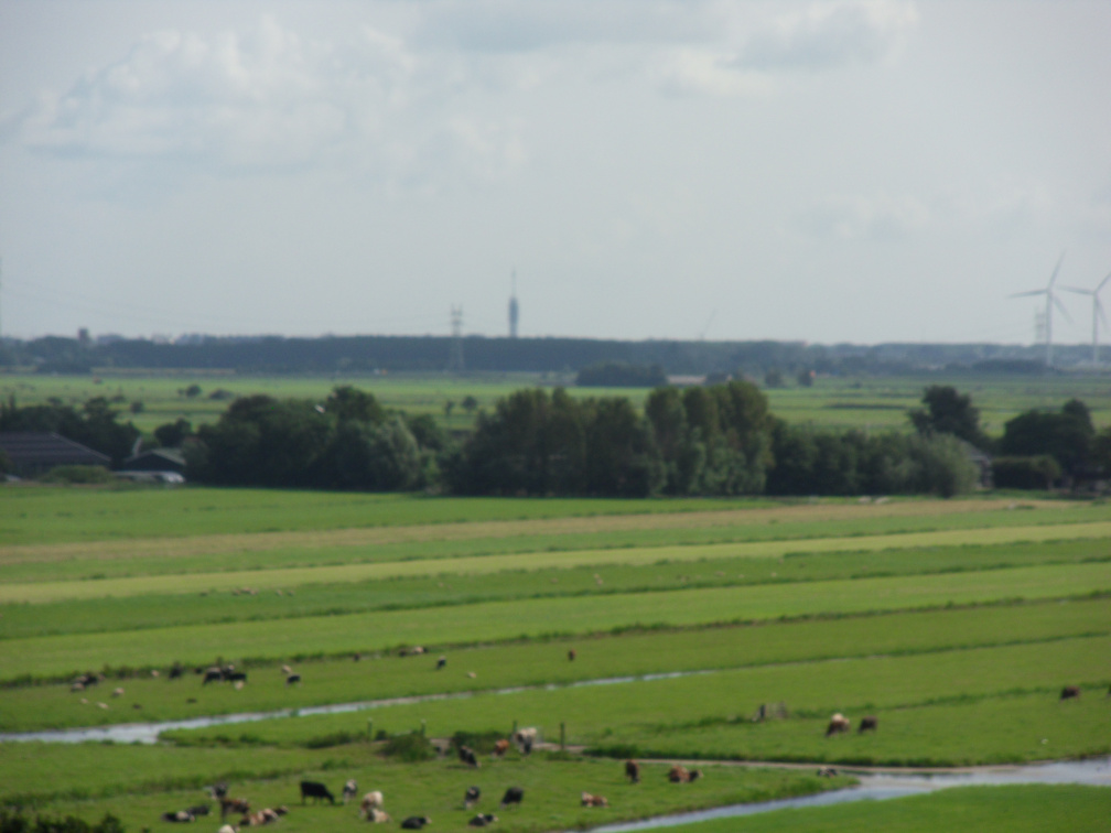 sintjanonthoofdingkerk survey2012 35