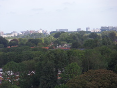 sintjanonthoofdingkerk survey2012 39