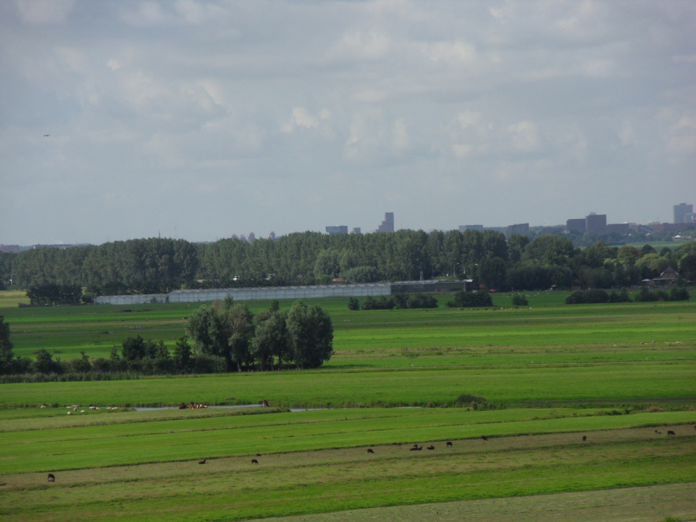 sintjanonthoofdingkerk survey2012 50