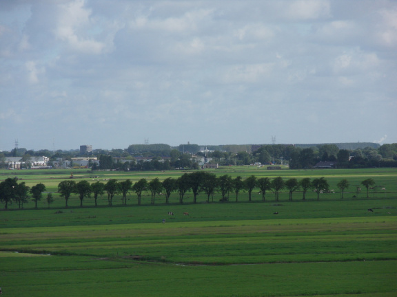 sintjanonthoofdingkerk survey2012 62